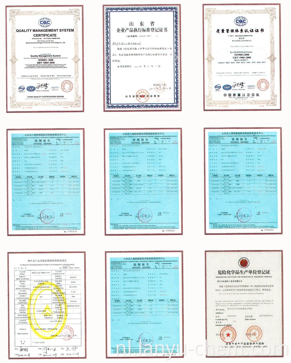 Natriumpolyacrylaat (polymeeracrylzuurpolymeren) 9003-04-7/PAAS